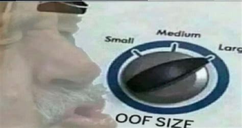 oof size meme|oof level meme.